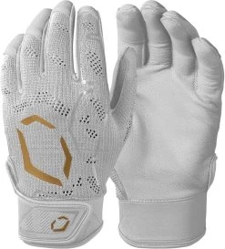EvoShield PRO-SRZ Youth Baseball Batting Gloves WB57119 -Baseball Equipment Store evoshield pro srz youth baseball batting gloves wb57119 28