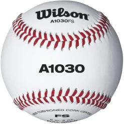 Wilson Champion Series WTA1030BFS Game And Practice Baseball