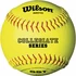 Wilson Collegiate Series WTA9010BSST Collegiate 12 Inch Softball -Baseball Equipment Store wilson collegiate series wta9010bsst collegiate 12 inch softball 11